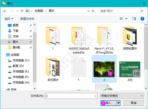CDR圖文設計與排版技巧 打造專業視覺作品的實用指南